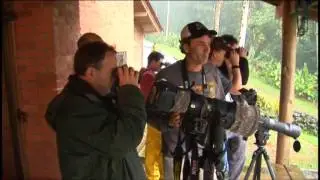 Colombia Birdwatch - Birding Adventures TV Episode