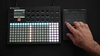 Tracker Mini: How to Control & Sequence Performance FX With the Polyend Play
