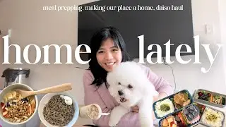 home lately | daiso haul that makes life easier, easy meal prepping comfort food,  life reset 🏠✨