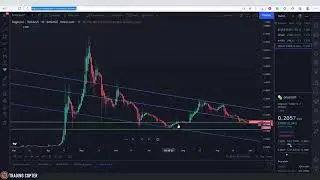 DOGECOIN BIG Price Prediction | TOP 1 Altcoin | Best Cryptocurrency To Invest 2021 | Top Altcoins