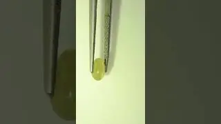 1.05 Carat Chrysoberyl Cat's Eye - The Gemstone That Has an ACTUAL Moving Eye! 👁️💎