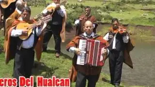 UCO DE MIS AMORES (CHUSCADA( ( HUARI - ANCASH)