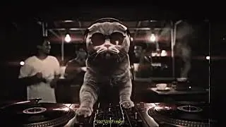 DJ AVANGARD X ARIA DROP BBHC SLOWED SOUD VIRAL YANG KALIAN CARI 2026