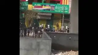 Anti-CAA Protest Turns Violent in Delhi's Maujpur | video 5