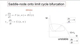 CNS4.4B - Firing threshold in 2D models