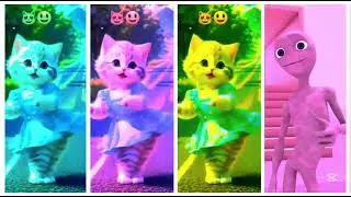 Funny cat dance video Patila dance challenge - new dame tu cosita