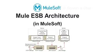 Mule ESB Architecture (in MuleSoft)