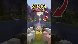How the NEW Golden Dandelion Stops Aging!🌼  #minecraft #minecraftshorts #viral #shorts