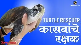 RESCUE SEA TURTLES AT DAHANU | Removing Barnacles from Poor Sea Turtles