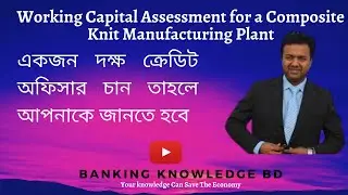 WORKING CAPITAL ASSESSMENT FOR OPERATION OF A COMPOSITE KNIT FABRICS MANUFACTURING PLANT