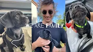 Wir sind eine Familie | Unser Welpe zieht ein 🐶❤️