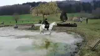 Outdoor cross country training - Araberhengst / Arabian stallion & Kathrin Roida