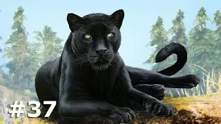 DOMANDO animais RAROS - Far Cry Primal #37