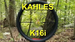 Сетка KAHLES K16i SM1 &mdash; почти идеальна.