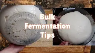 Bulk Fermentation 101: 7 must know fermentation tips