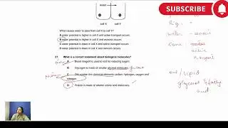 O Level Biology MCQs & Structured Questions | Osmosis, Diffusion, Proteins & DNA
