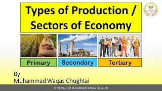 Types of Production / Sectors of Economy | Primary, Secondary & Tertiary