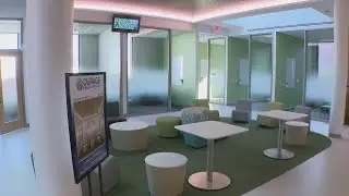 DuPage Co. Health Department cuts the ribbon on all new crisis recovery center in Wheaton