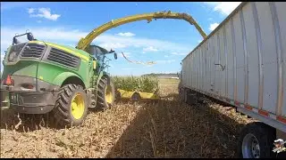 2019 Corn Silage Harvest at Convoy Dairy