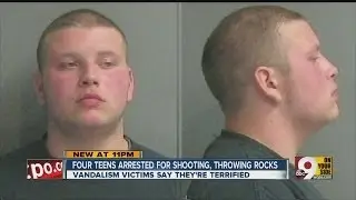 Teens go on vandalism spree in Hamilton