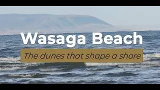 Wasaga Beach: The dunes that shape a shore