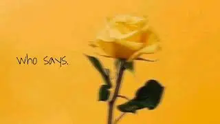selena gomez // who says (slowed down)