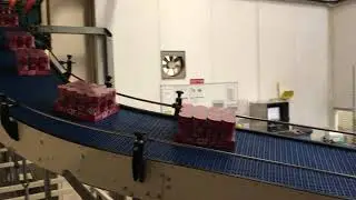 Modular Belt Conveyor - Food Industry