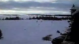 sled headz