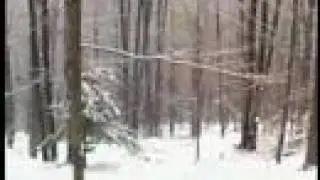 Smokinlicious Winter Video