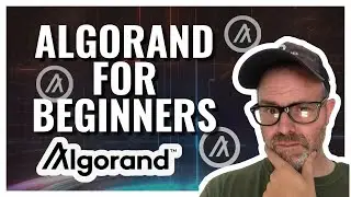 Algorand explained: How to get started with Algorand