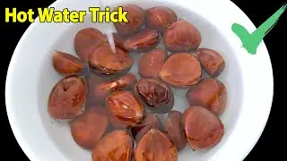 9 Ways to Peel Chestnuts Fast l Peel off Chestnut Shells in 3 Seconds l How to Peel Chestnuts Easily