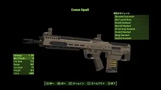 MW2022 - Cronen Squall - General Dynamics RM277【Fallout4 MOD】