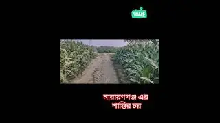 narayanganj river sunset | three rivers meeting point tranquility#documentary #documents  #trending