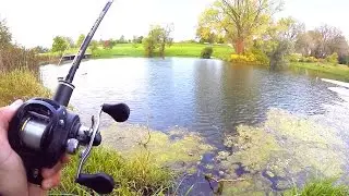 I CAUGHT MY PERSONAL BEST