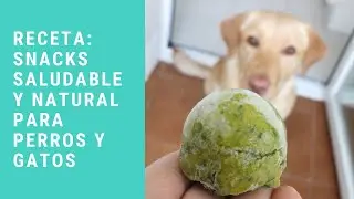 Receta de snak saludable y natural para perros y gatos | Dieta BARF