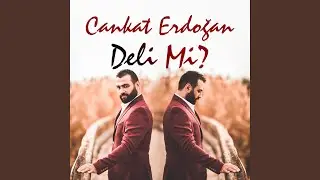 Ka&ccedil;a Gelesin