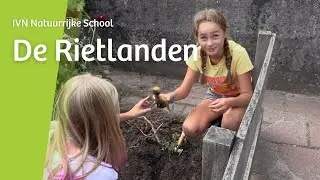 IVN Natuurrijke School &bull; Pionierschool De Rietlanden op Marken