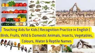 Birds, Fruits, Wild & Domestic Animals, Insects, Vegetables, Colours, Water & Reptile Names in Eng.