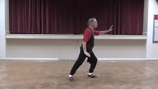 Tai Chi Flying Hand. Li (Lee) Family Style