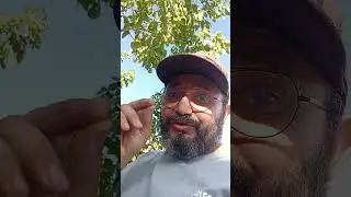 Jibóia arco-íris da caatinga 