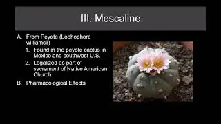 Lecture 20   Psychedelic Drugs Part 1