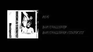 Barnswallower / Statocyst - Barnswallower / Statocyst [Full Cassette Rip]