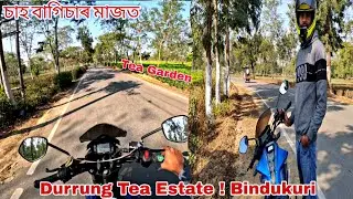 চাহ বাগিচাৰ মাজত ! Durrung Tea Estate. #travelgyp