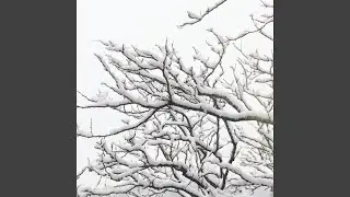 Cold Weather