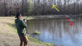 Physics Behind Fishing (PHY1104)