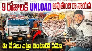 9 రోజులు Truck Parking! 😡 Fish Load Unload Drama @TeluguTruckVlogsHarish