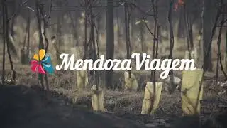 Bodega El Enemigo Casa Vigil, Maip&uacute;, Mendoza, Argentina. Mendoza Viagem