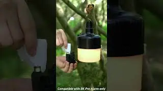 ✨ Rippton&rsquo;s Smart Night Fishing Essential &mdash; FIRELY ALARM BIVVY LIGHT! ✨