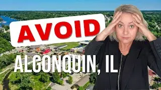 MUST WATCH! Before moving to Algonquin, IL