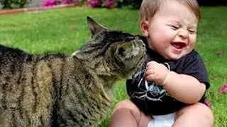 Funny Babies Laughing at Cats Compilation 2017 - Cats Loves Babies Video